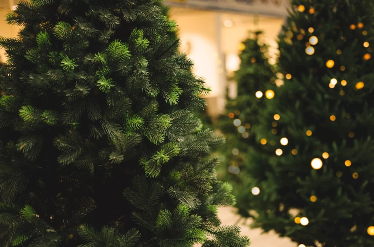 Best Artificial Christmas Trees That Look Real