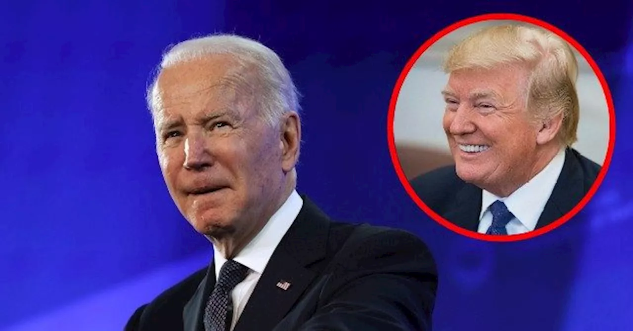 Nolte: Trump Stomps Biden in 5 Crucial Swing States Per NY Times Polling