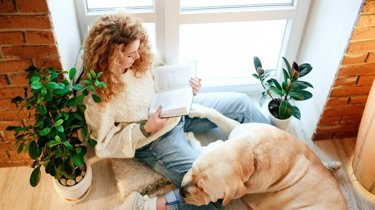 Buch-Tipps: 3 Bücher, die du lesen kannst, wenn du dich nach Liebe sehnst