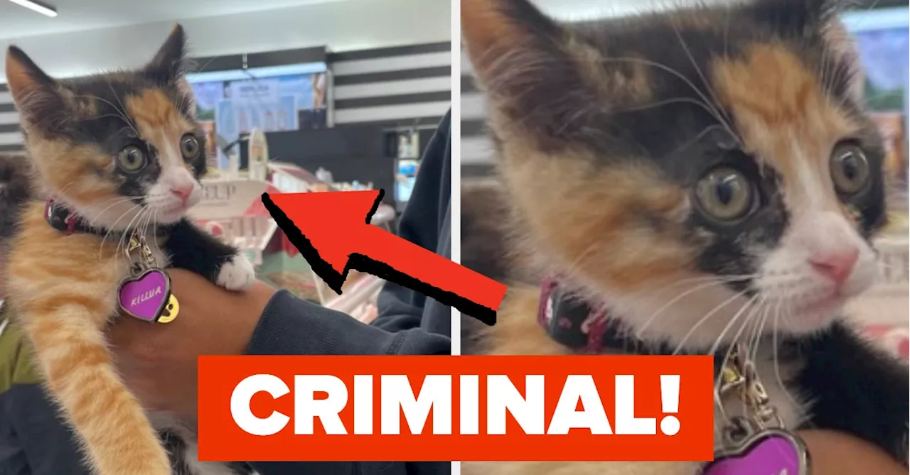 17 Hilarious Internet Fails From This Week