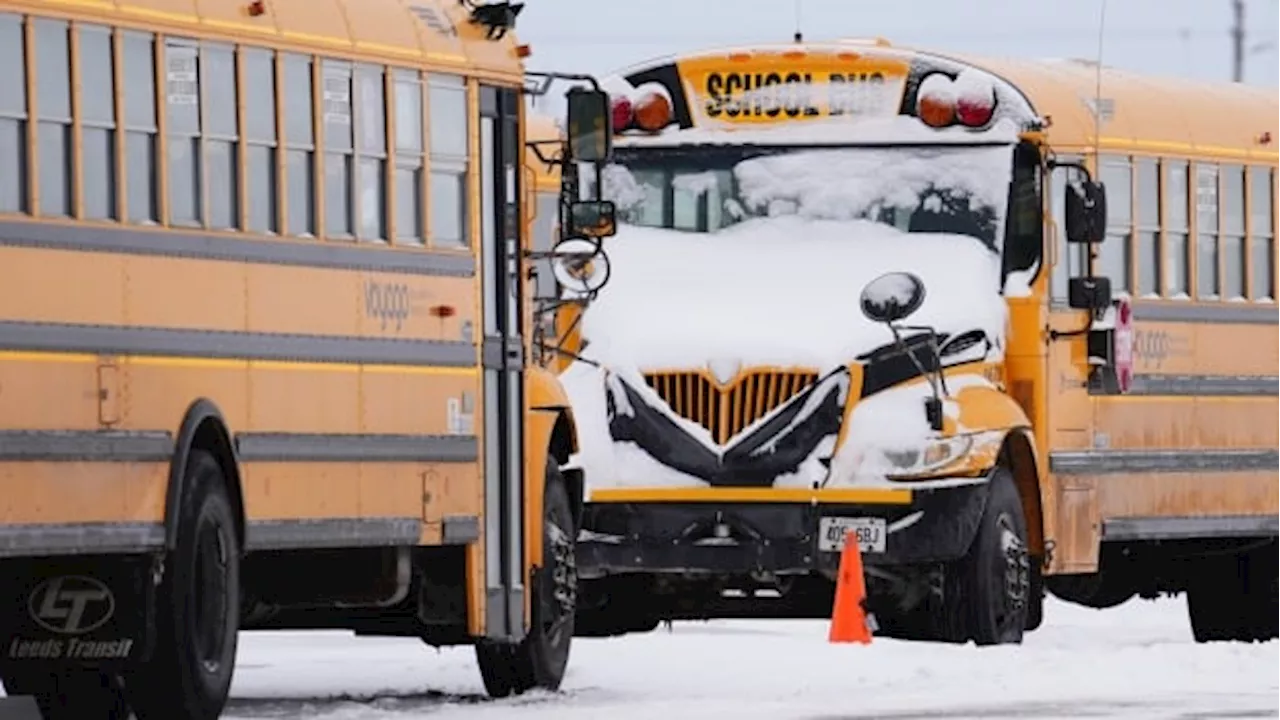 Freezing rain, snowfall warnings cancel school buses east of Thunder Bay