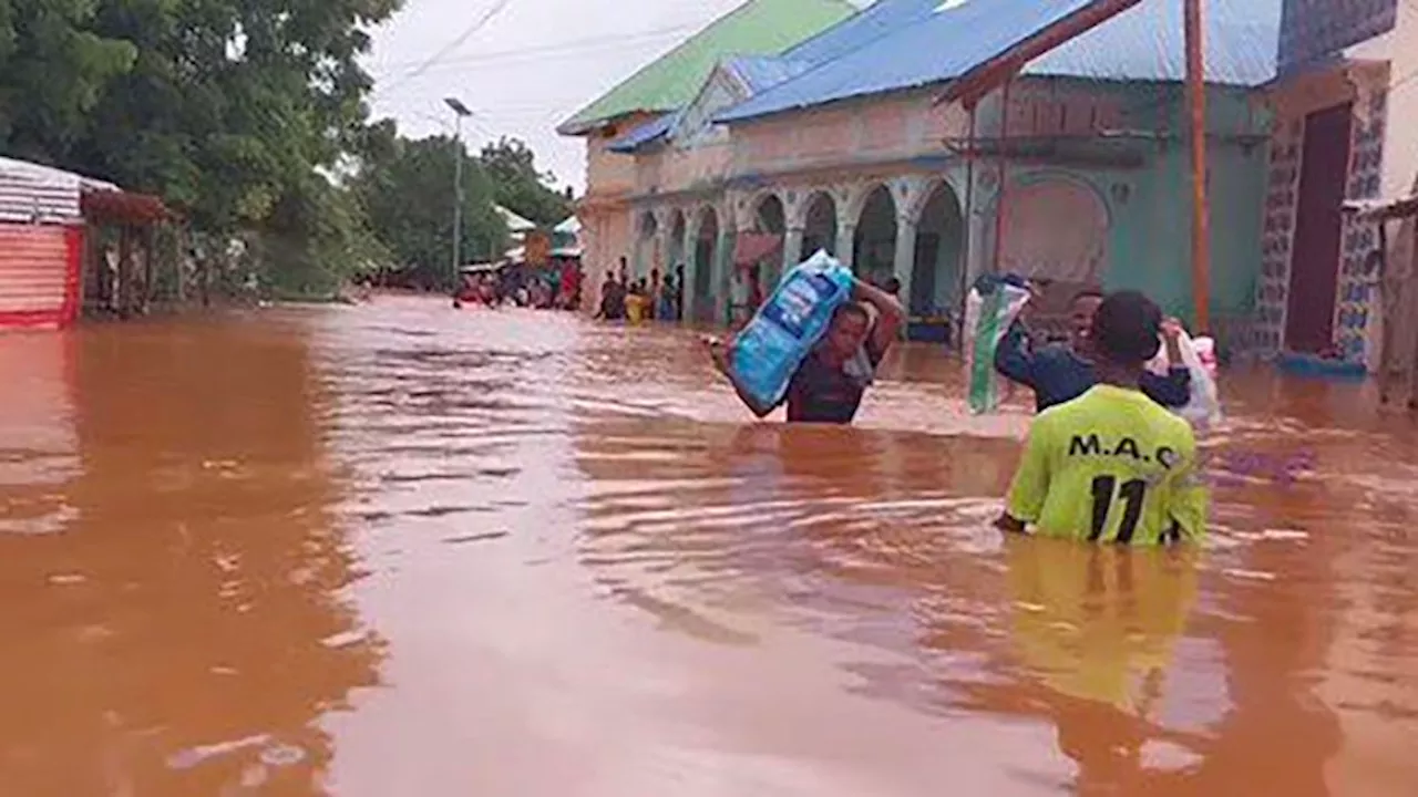 Thousands trapped in Somalia flooding as heavy rains wreak havoc