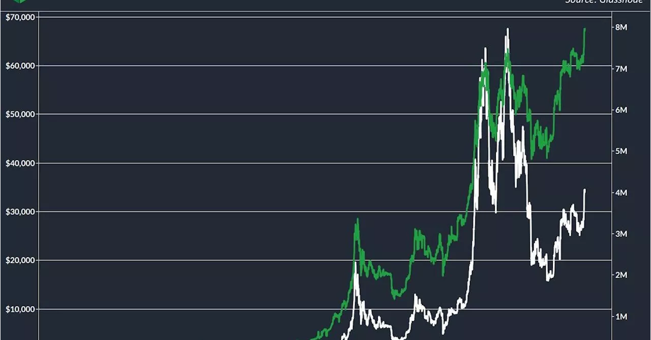 Bitcoin Addresses With Over $1K of BTC Hits Record 8M, Data Shows