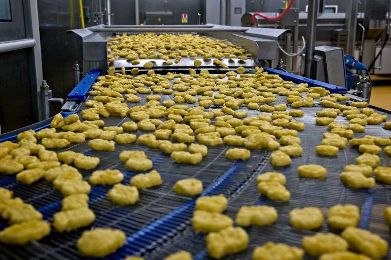 Major Chicken Nugget Recall Underway United States Head Topics