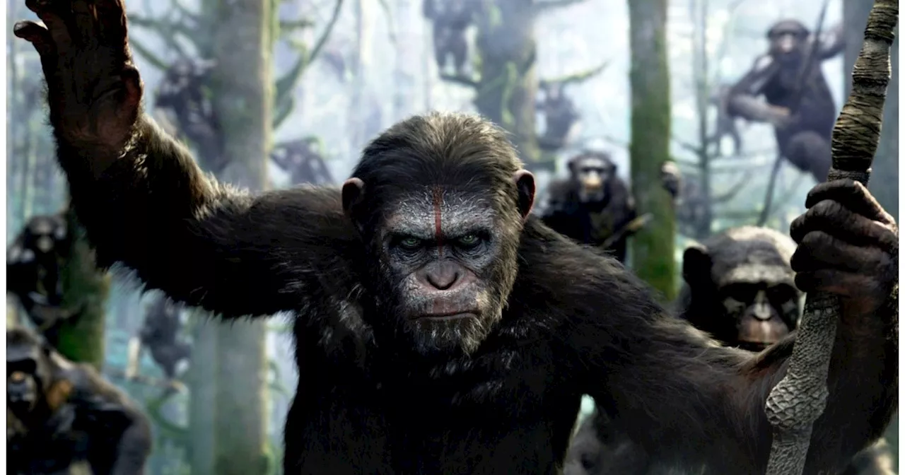 Dawn of the Planet of the Apes Streaming: Watch & Stream Online via HBO Max