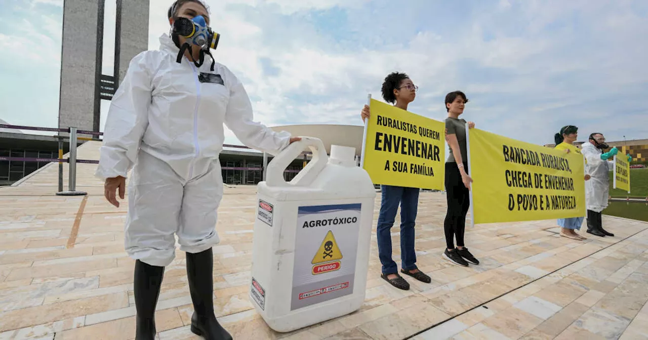 Au Brésil, une étude suggère une corrélation entre pesticides et leucémies chez les enfants