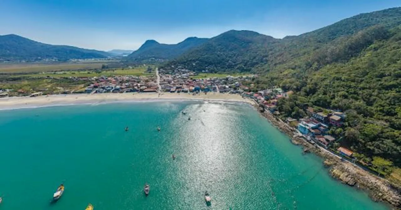 Verano 2024: la playa de Florianópolis que es perfecta para ir con la familia