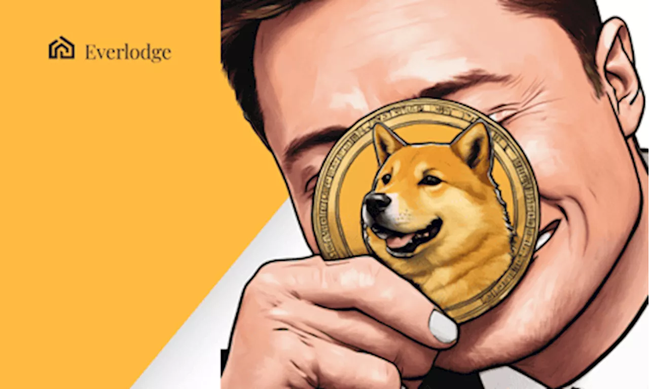 Crypto Expert Claims Dogecoin Price is Building a ‘Bullish Foundation,’ Everlodge and Shiba Inu Soar