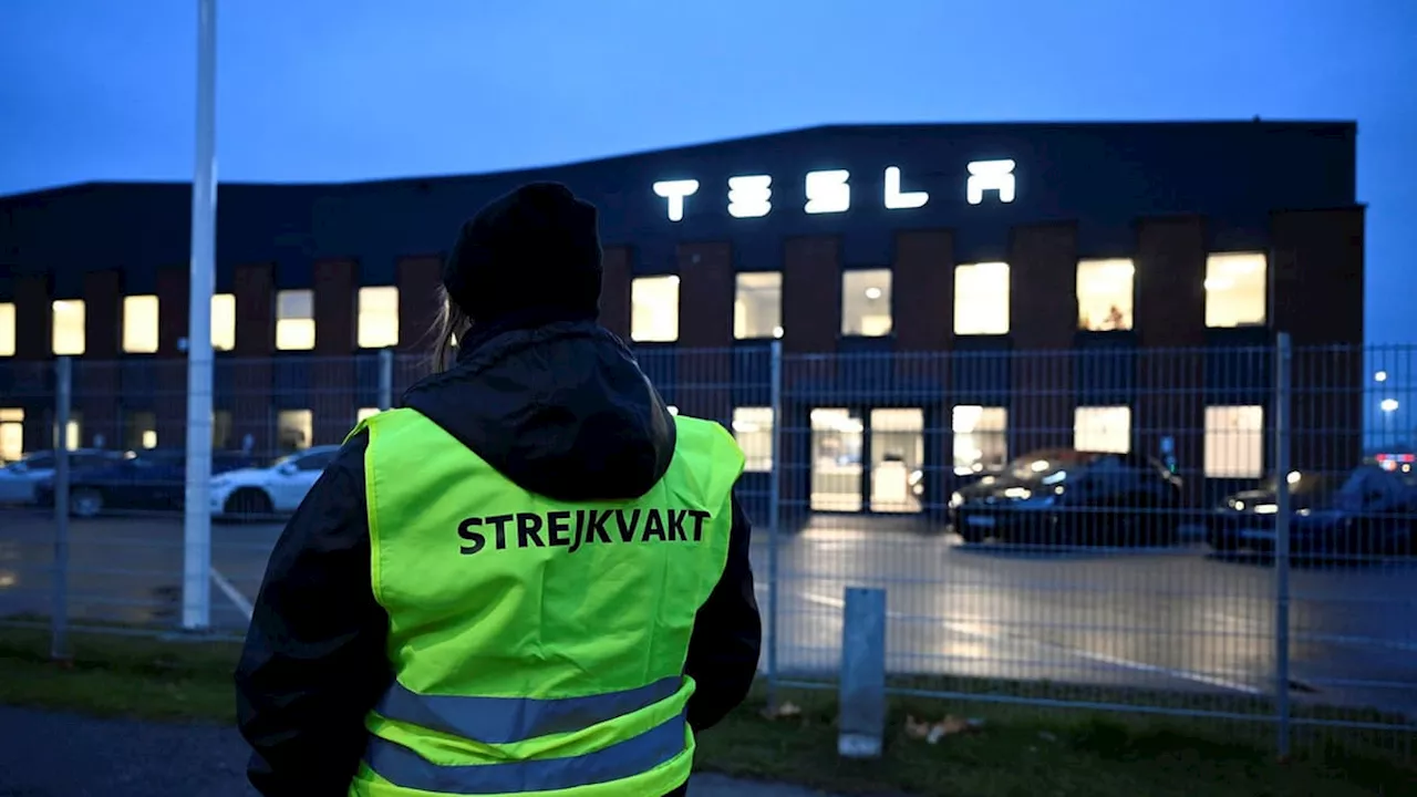 IF Metall: Fler sympatistrejker mot Tesla