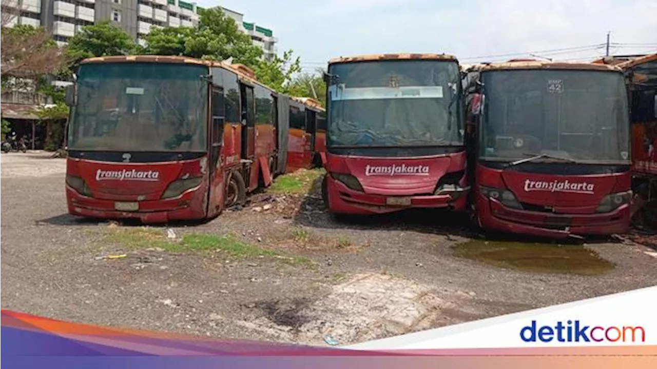 Ada 'Kuburan' Bus TransJakarta di Rawa Buaya, Lihat Sendiri Nih!