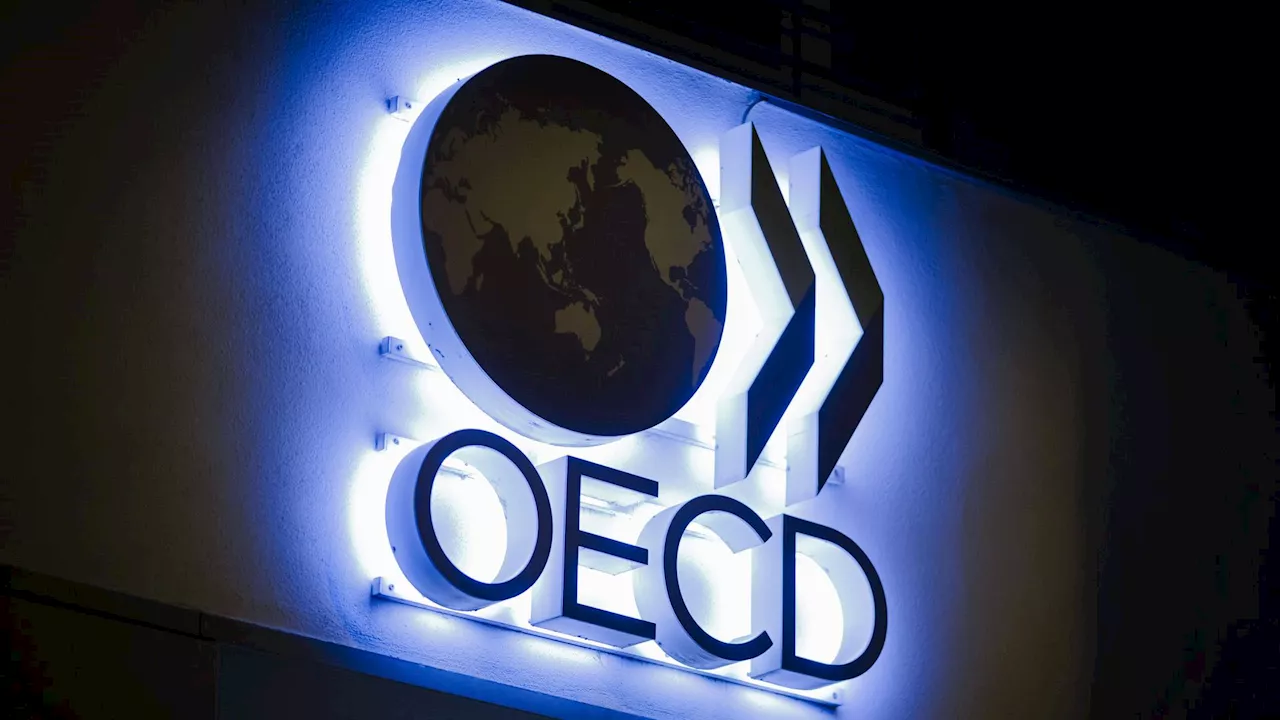 OECD mahnt wegen rasanter Entwicklung Bildungsimpuls an