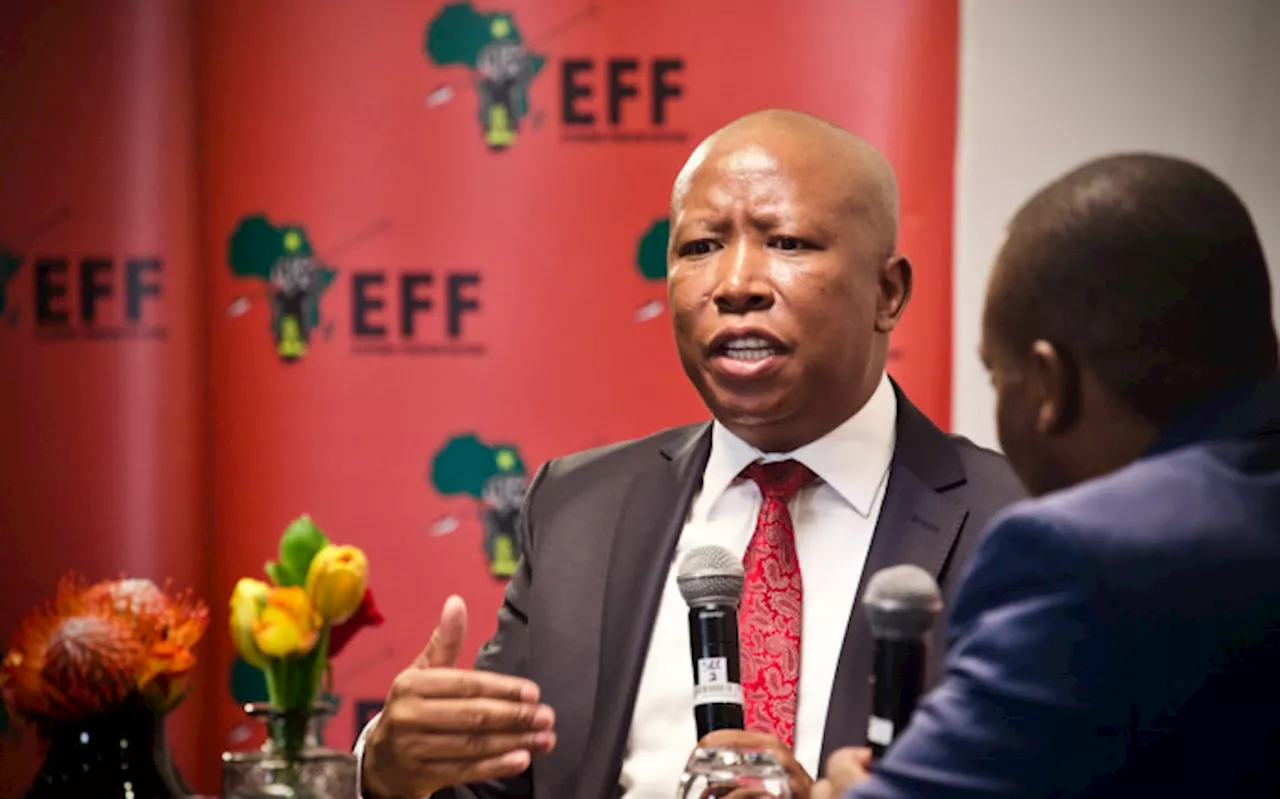 Ekurhuleni's finances 'in the positive', Malema disproves ANC, DA and ActionSA