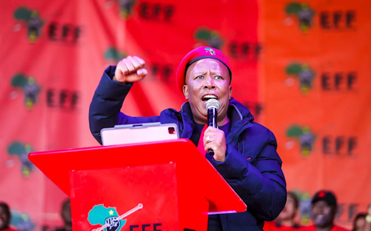 Missed 1994 governance opportunity will be realised by EFF in 2024, says Malema