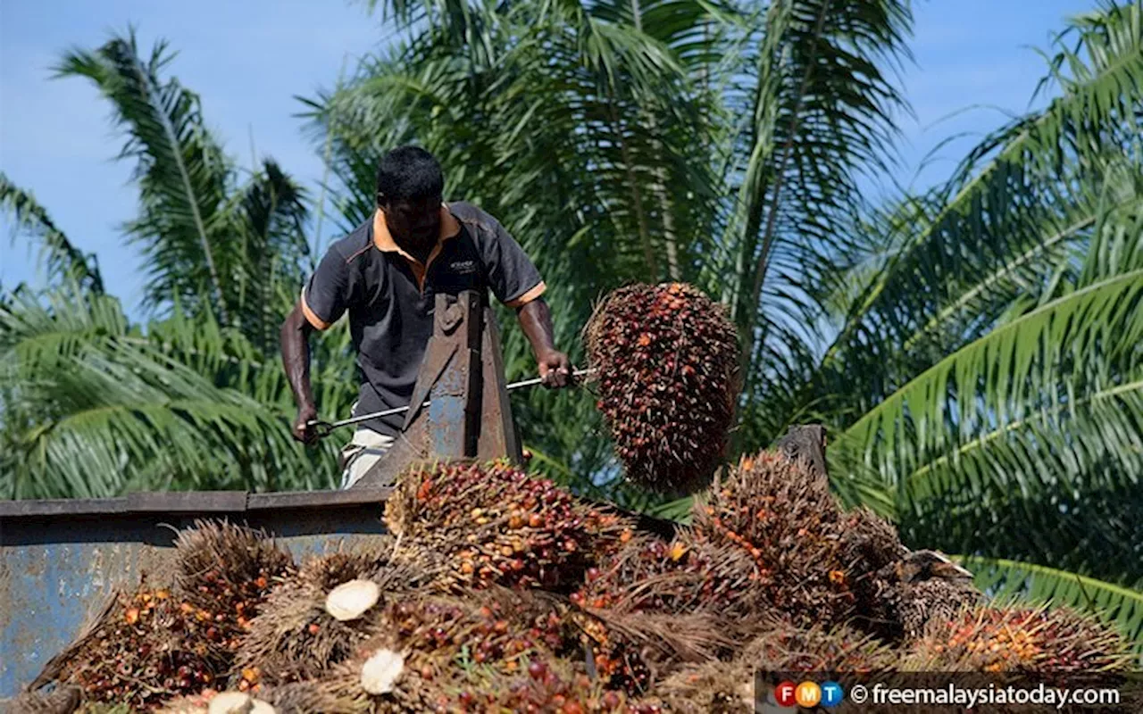 15 palm oil associations urge govt to review windfall profit levy