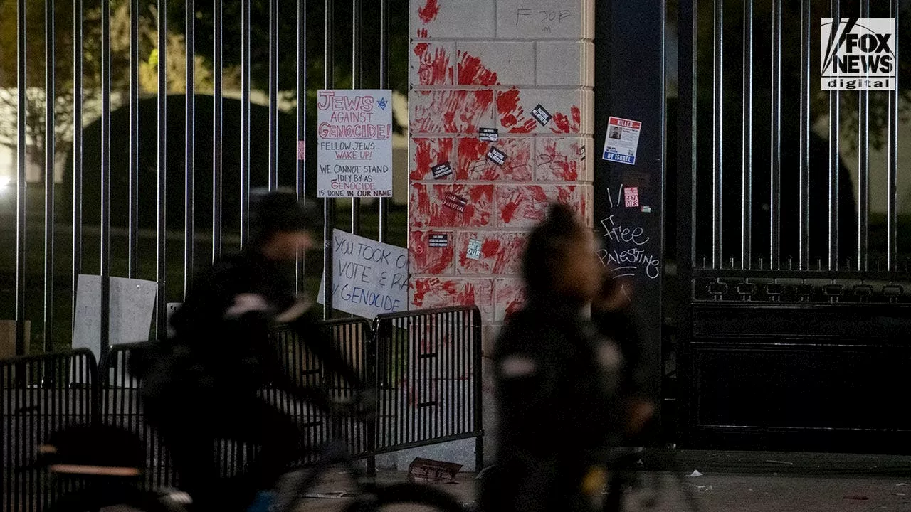 White House gates left defaced by graffiti from pro-Palestinian activists