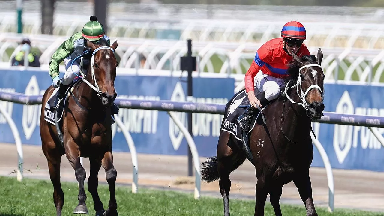 Diving into the history of Melbourne Cup favourites, and why it’s worth looking for value