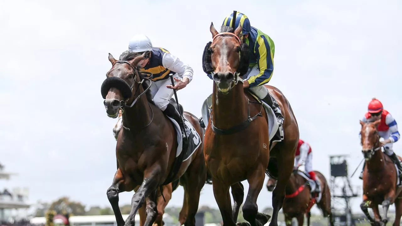 Melbourne Cup cheat sheet: Why every horse can – and can’t