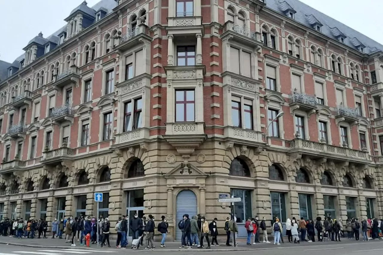 Polémique après la publicité du Crous de Strasbourg pour des logements pendant le marché de Noël