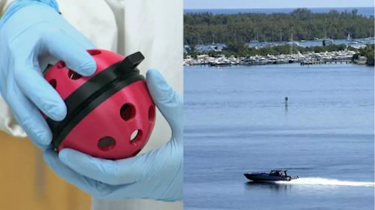 COVID-19 wastewater testing now used to discover other human viruses in Canadian lakes