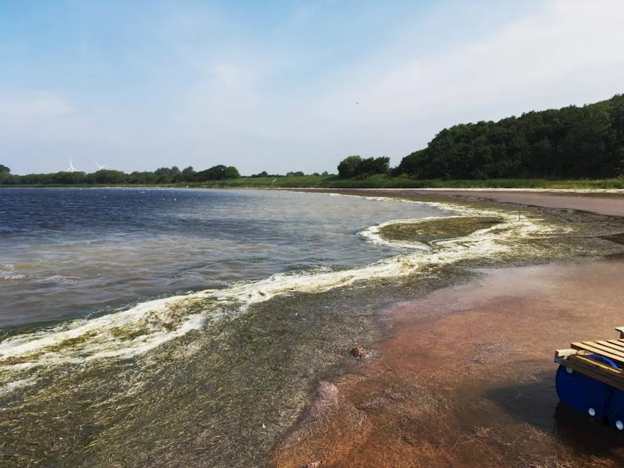 18.000 tons kvælstof skal væk: Mange landbrug vil komme i store problemer