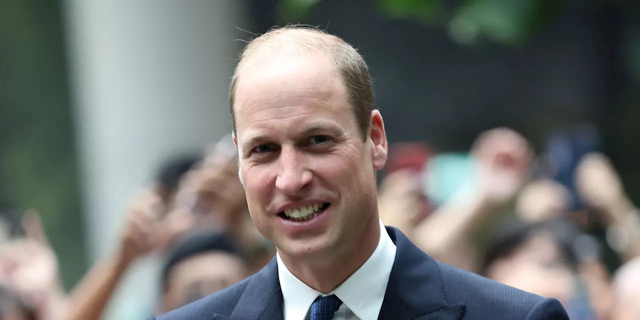 A Baby Bit Prince William During His Trip to Singapore