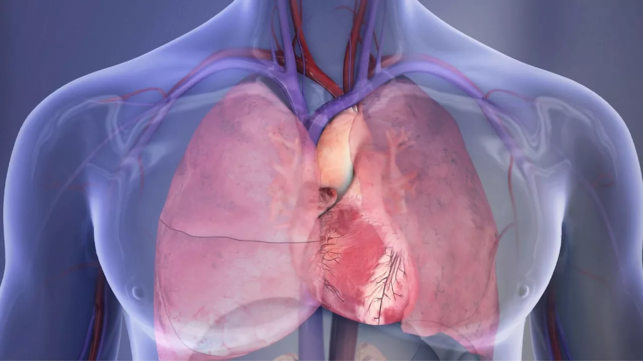 US scientists simulate heartbeats to recharge pacemaker battery