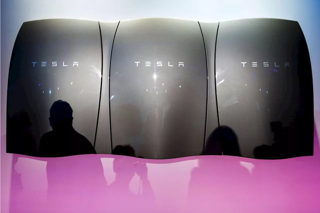 Tesla to build 25,000-euro car at German plant