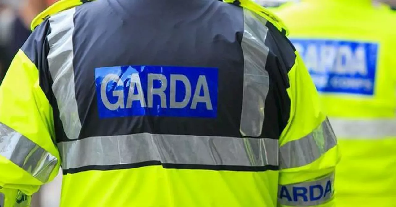 Man, 25, who punched garda in the head jailed for 18 months