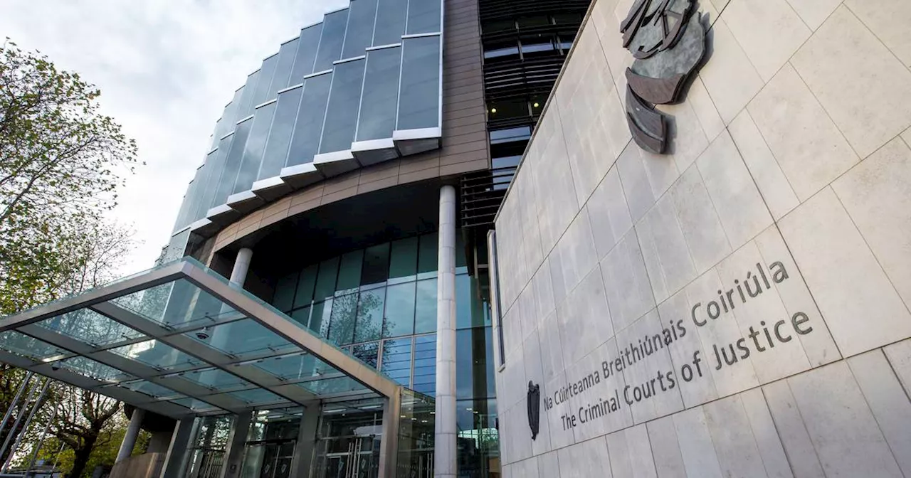 Two ‘feral youths’ who stabbed teenager 14 times in Dublin are jailed