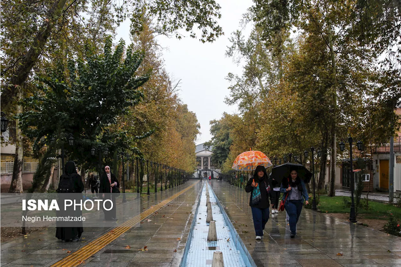 بارش باران ورعد و برق در برخی استان‌ها