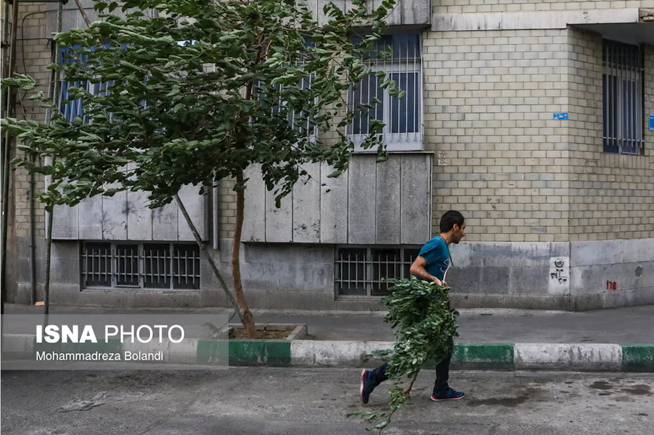 وزش باد شدید در غرب تهران/ چهارشنبه هوا سرد می‌شود