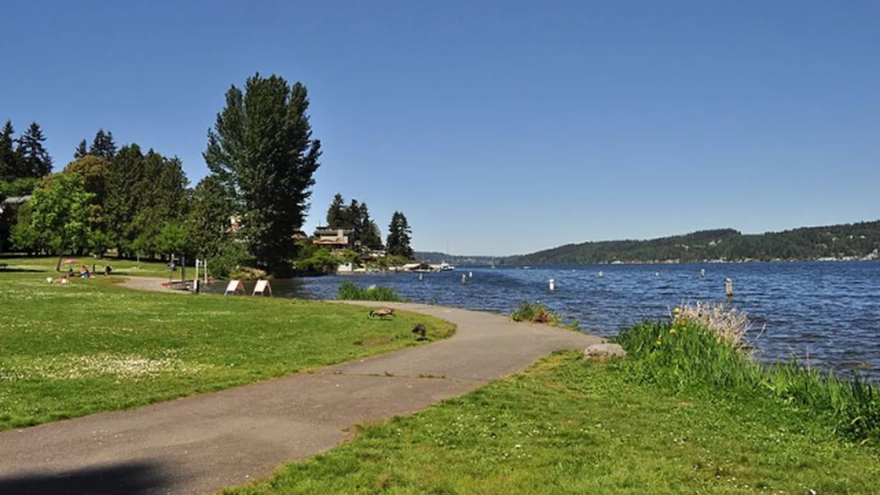 Lake Washington beach closed for sewage spill