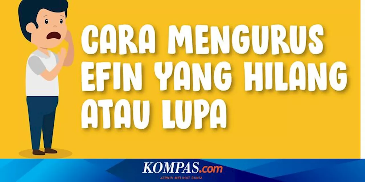 5 Cara Mudah Mendapatkan Kode EFIN Pajak secara Online