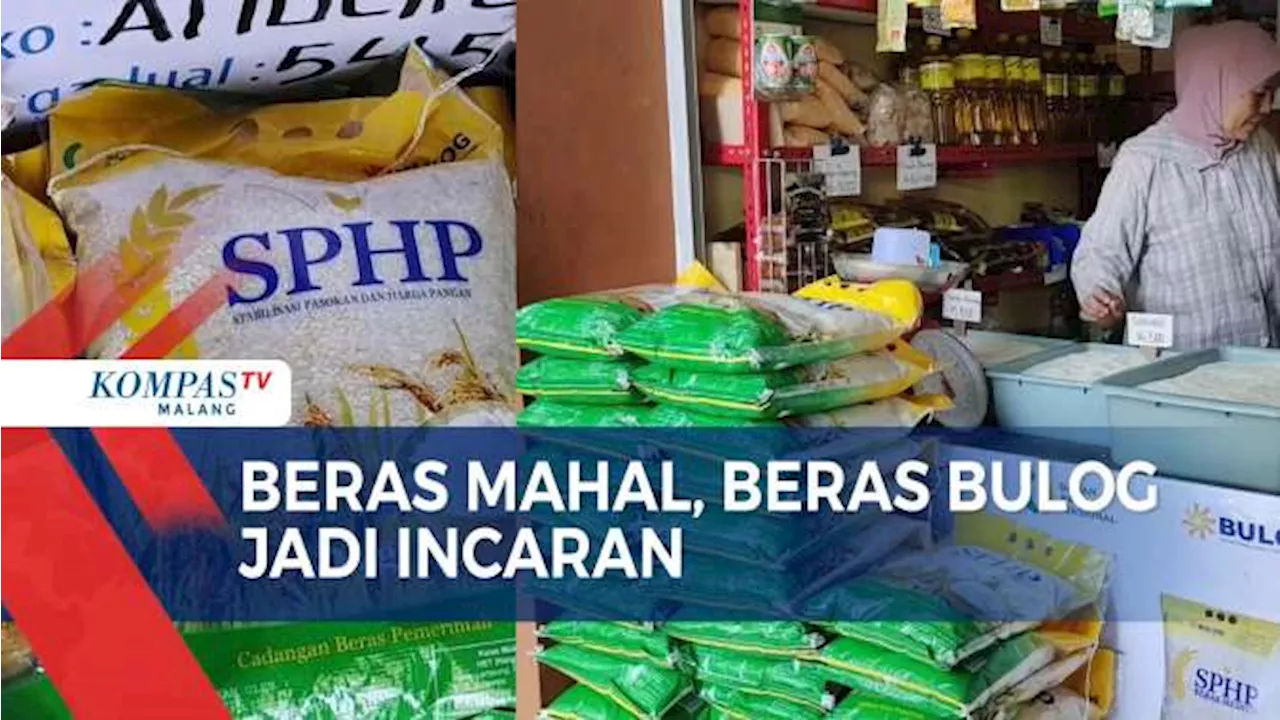 Harga Beras Masih Tinggi Beras, Warga Beralih ke Beras SPHP Bulog