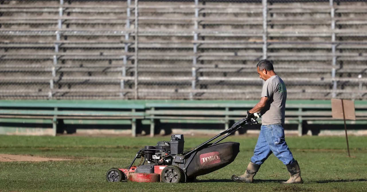 Lawn Care Pollution