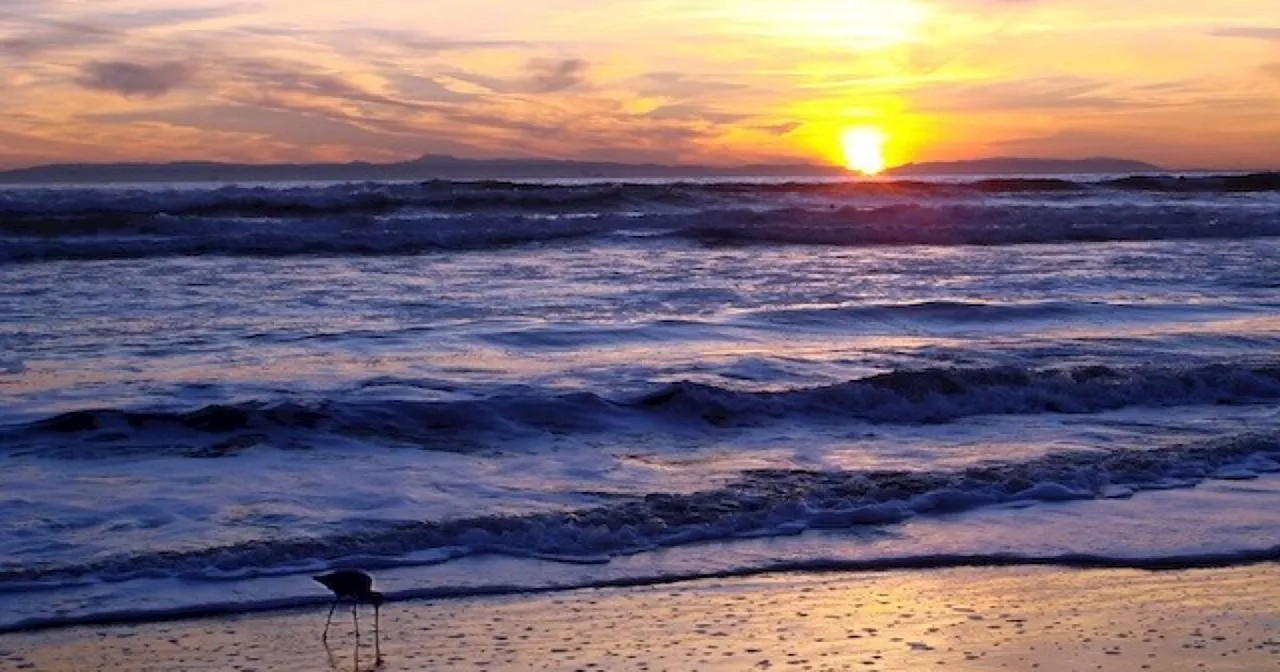 Shark Activity Leads To Sunset Beach Closure In Huntington Beach