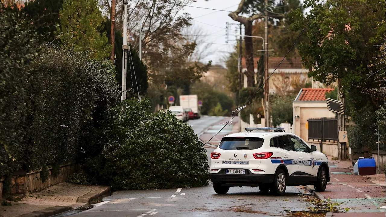 Tempêtes Ciaran et Domingos : 126 000 foyers restent privés d'électricité lundi matin