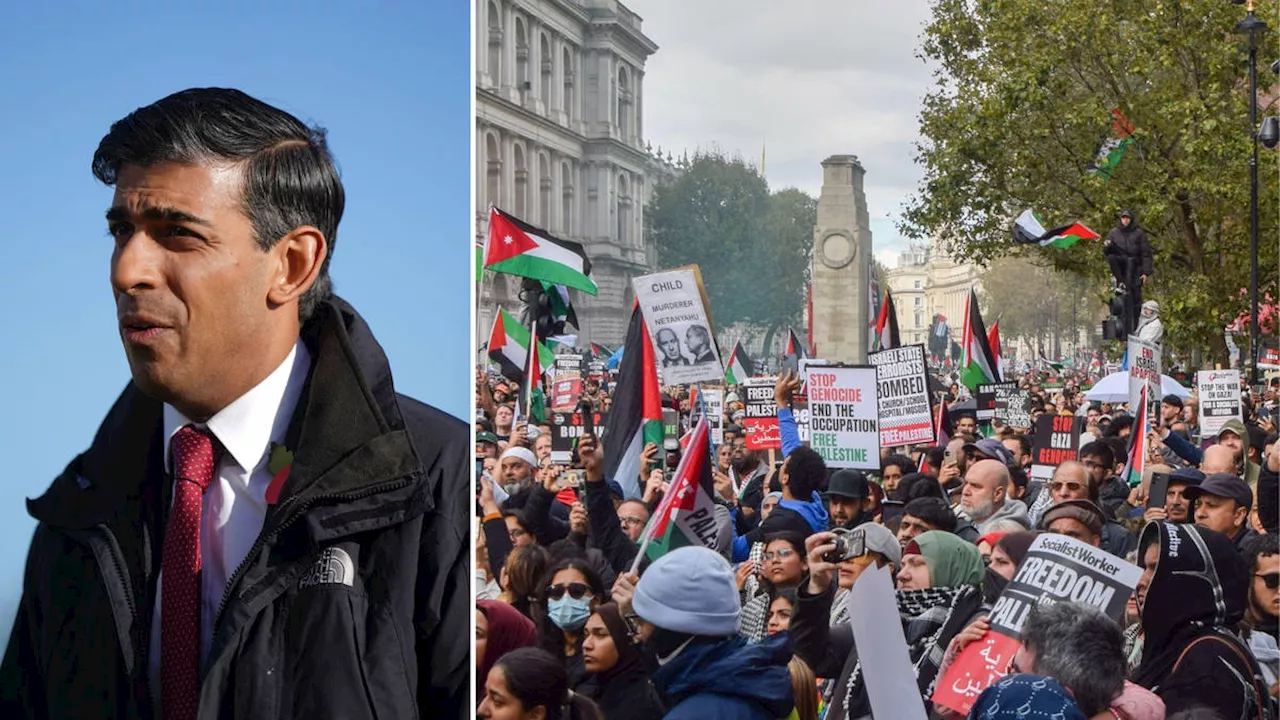 Rishi Sunak says police have ‘absolute and total’ support ahead of pro-Palestinian protest planned for...