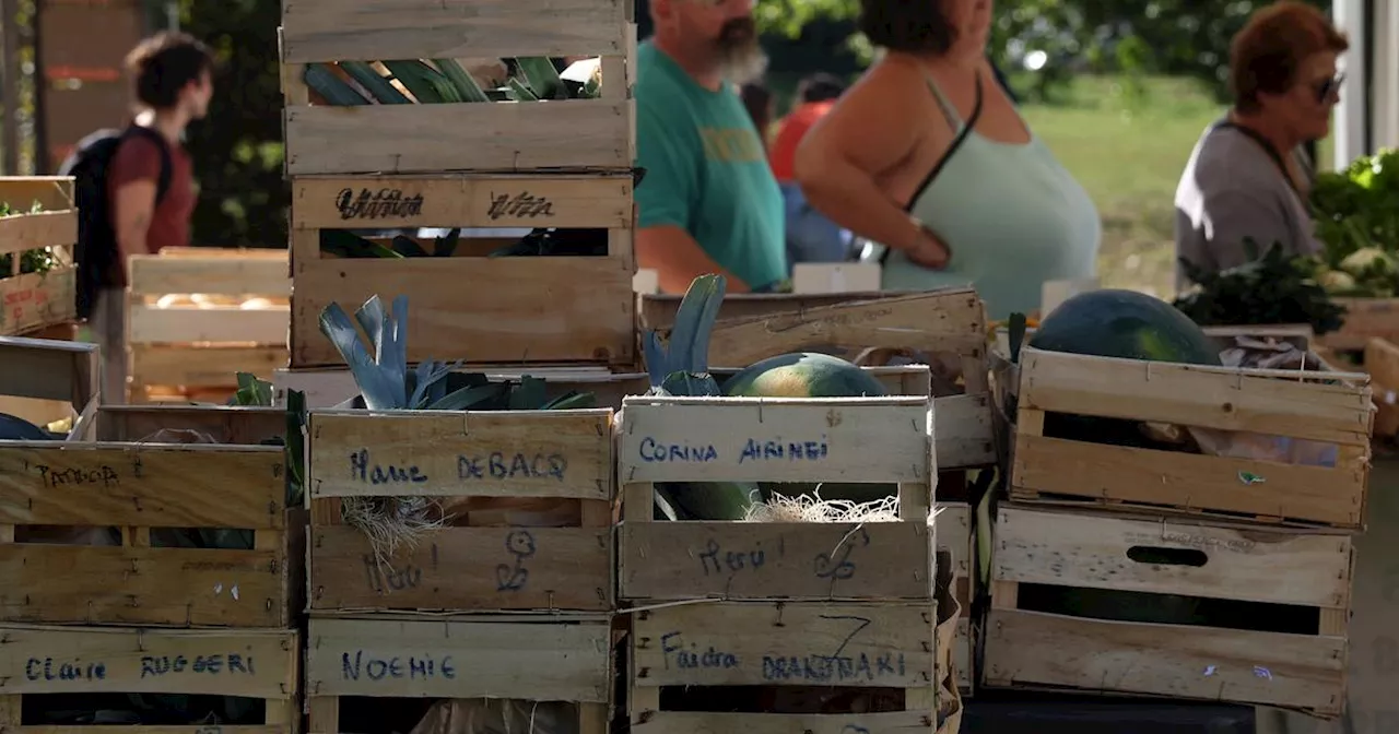 Un marché «atypique» et une cantine ouvrent dans un quartier populaire de Bordeaux