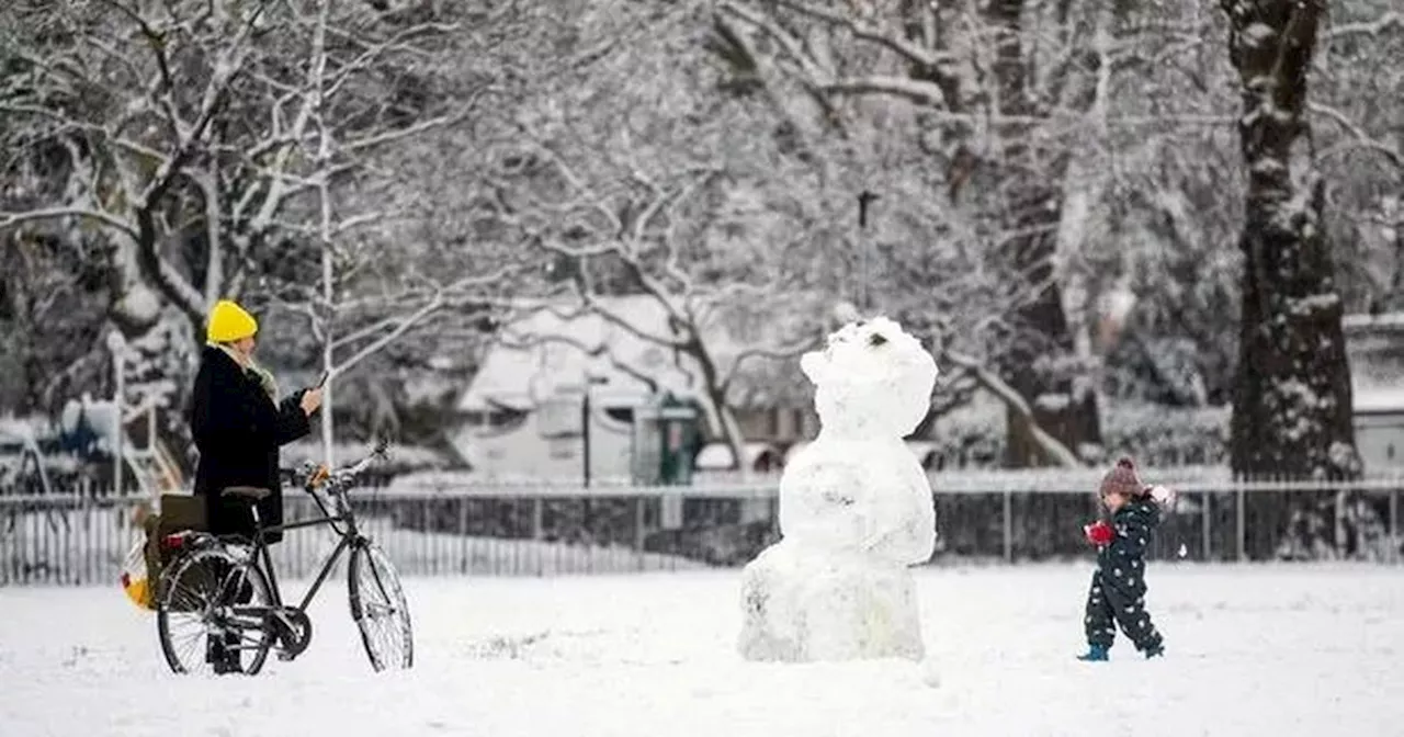 Met Office verdict on UK snow chances after 'Arctic plume' reports