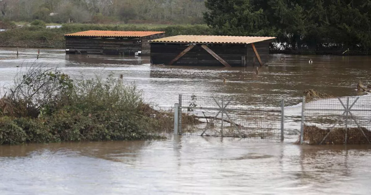 Tempêtes Ciaran et Domingos : encore 126 000 foyers privés d’électricité lundi matin