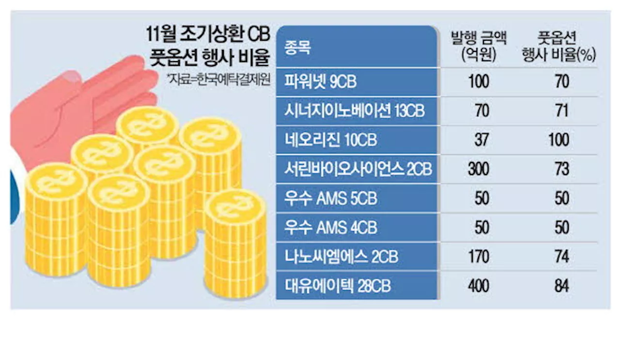 '주식전환 싫다'… 골칫거리 된 CB