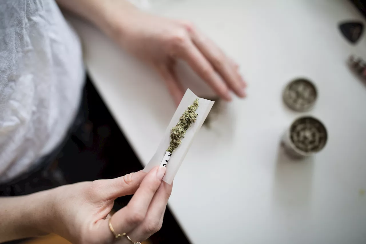 Marijuana use linked with increased risk of heart attack, heart failure