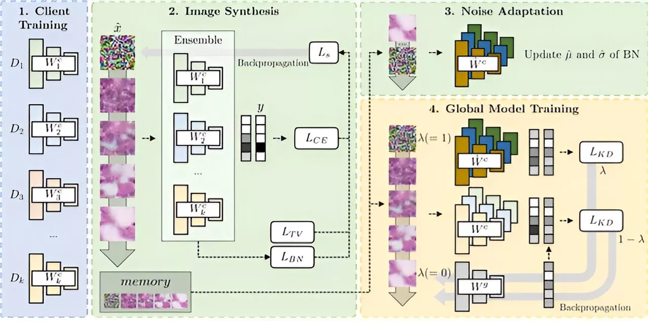 Researchers develop AI technology for image recognition in the medical field