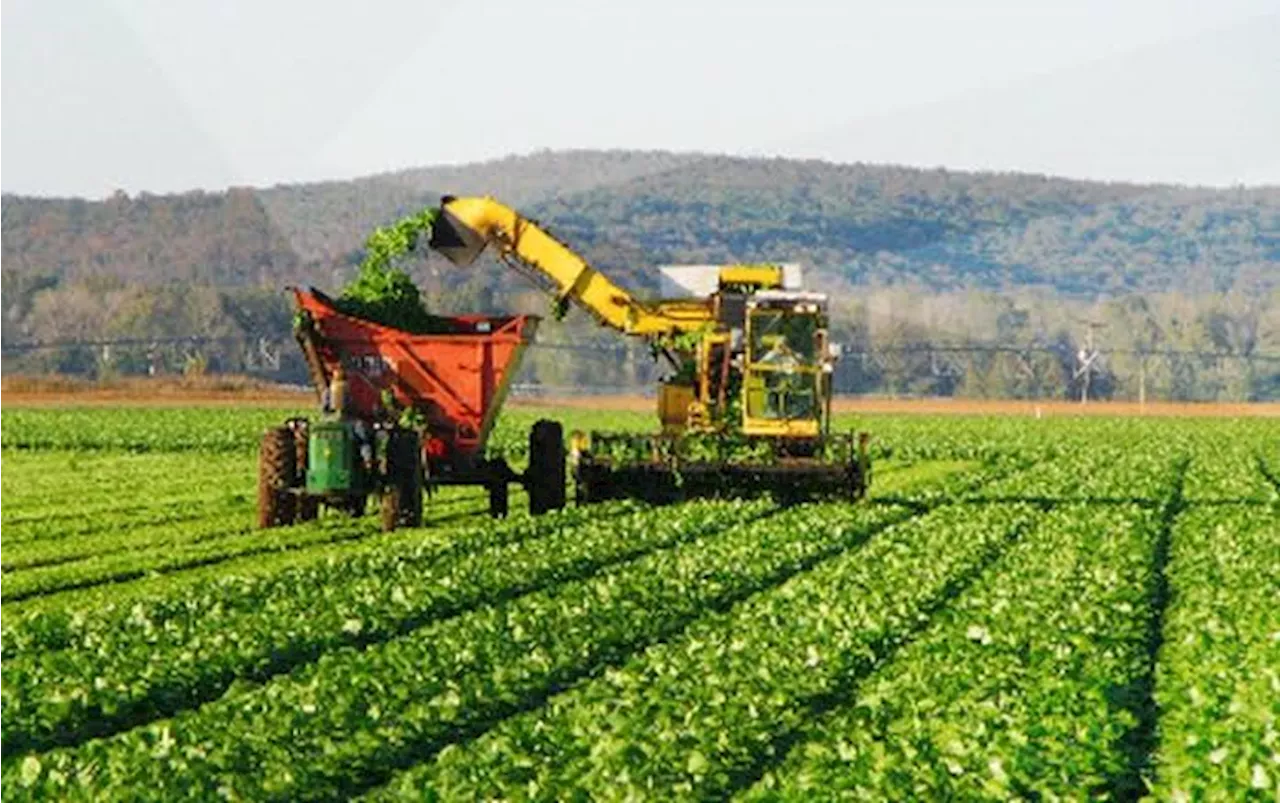 Santander y CNA firman alianza para impulsar la agroindustria