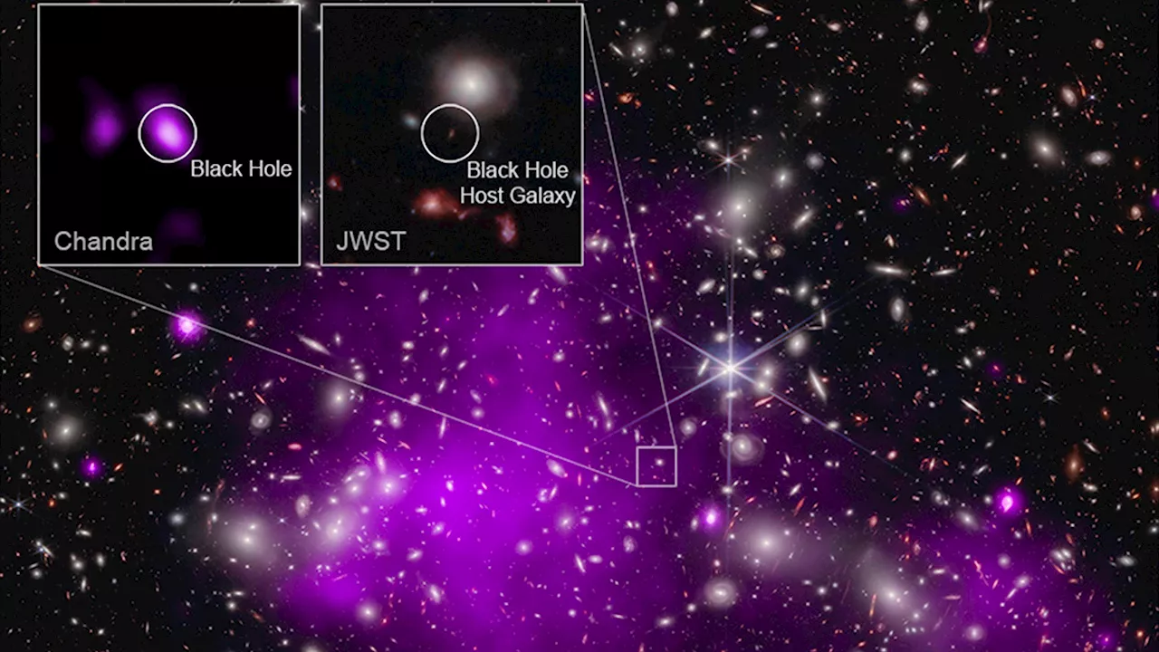 Scientists discover oldest black hole yet, a ‘behemoth' from 470 million years after the Big Bang