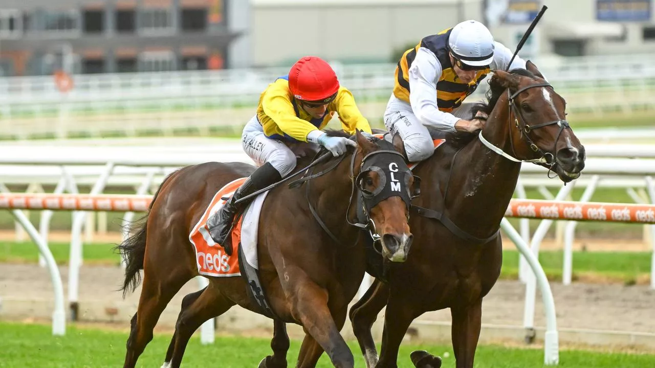 Betting plunge rocks Melbourne Cup