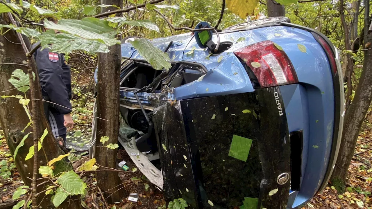 Unfall auf Höhenstraße: Der Lenker konnte |br /|sich selbst befreien