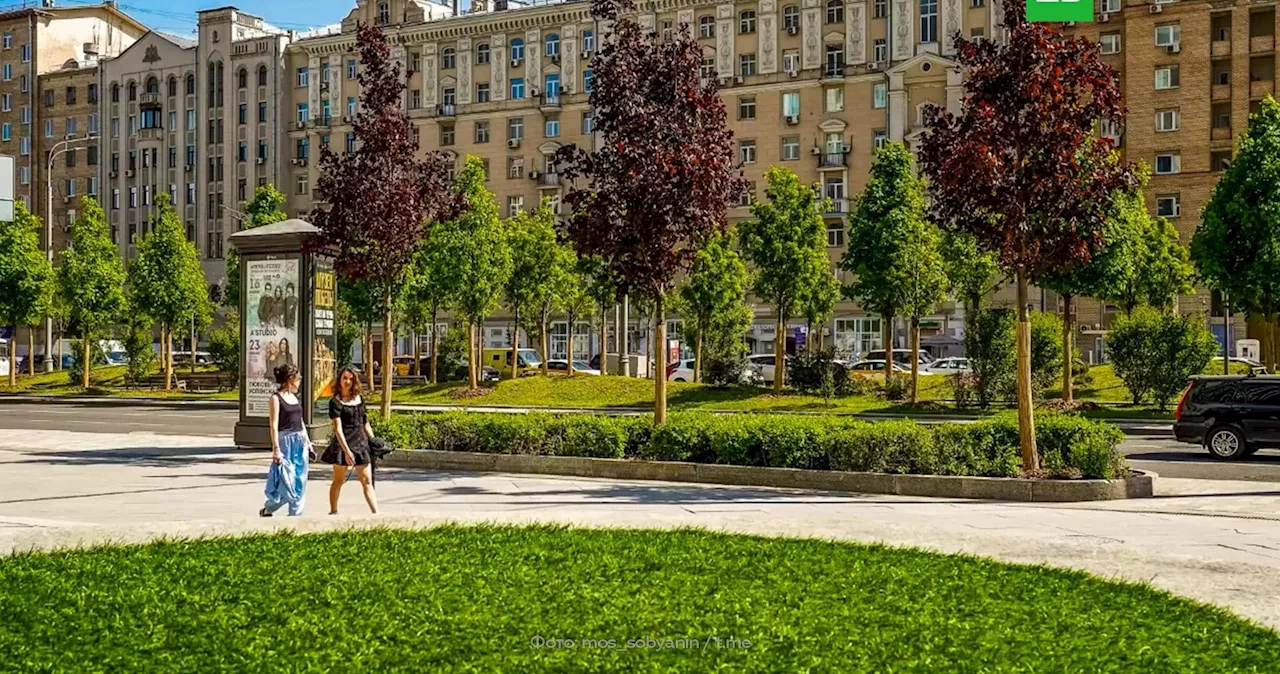 Свыше 750 новых деревьев высадят в Москве в этом году