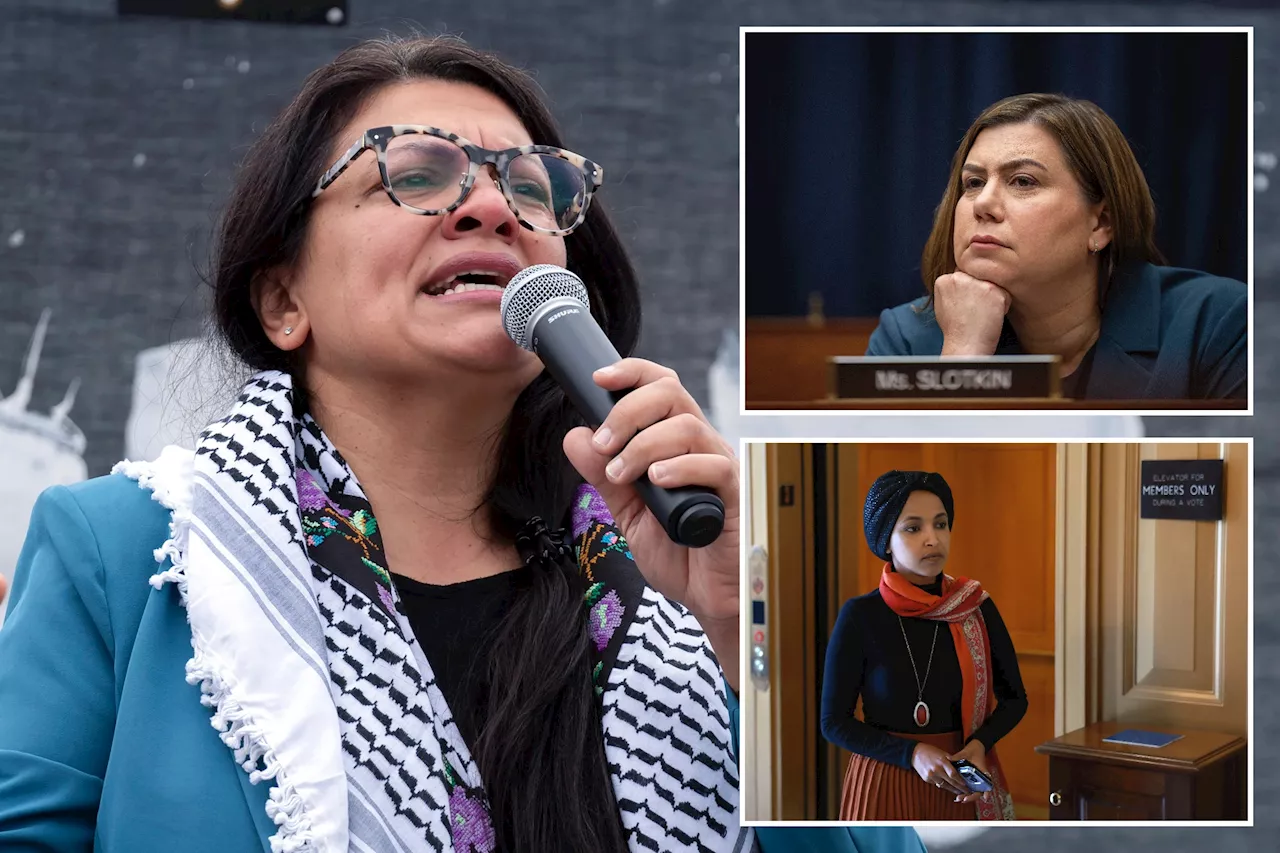 Dems scold lefty colleague Rashida Tlaib over Israel -- as primary challengers line up against 'The Squad'